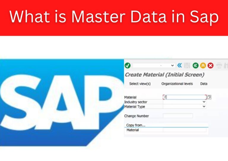 What is Master Data in Sap